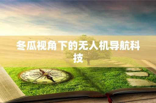 冬瓜视角下的无人机导航科技