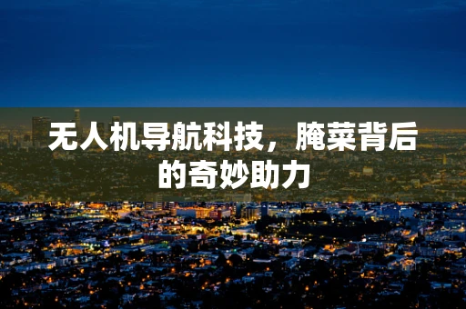 无人机导航科技，腌菜背后的奇妙助力