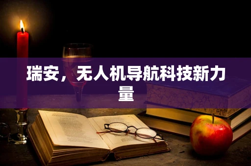 瑞安，无人机导航科技新力量