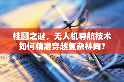 桂圆之谜，无人机导航技术如何精准穿越复杂林间？