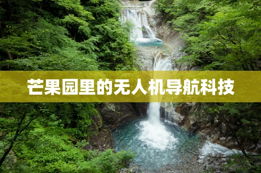 芒果园里的无人机导航科技