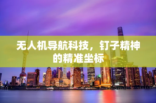无人机导航科技，钉子精神的精准坐标