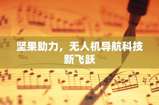 坚果助力，无人机导航科技新飞跃