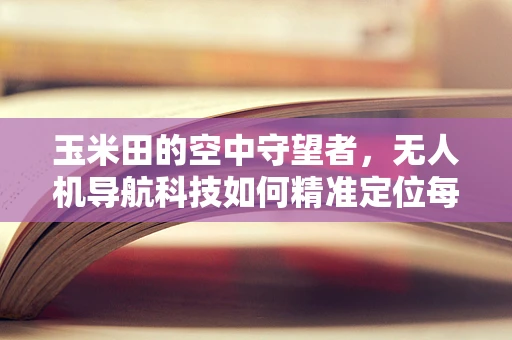 玉米田的空中守望者，无人机导航科技如何精准定位每一株作物？