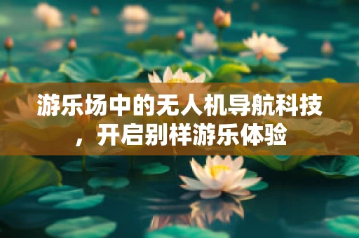 游乐场中的无人机导航科技，开启别样游乐体验