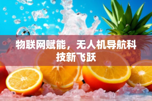 物联网赋能，无人机导航科技新飞跃