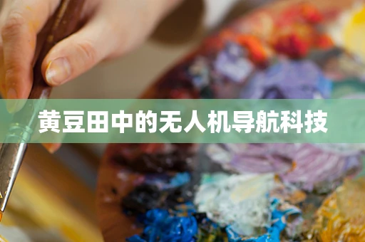 黄豆田中的无人机导航科技