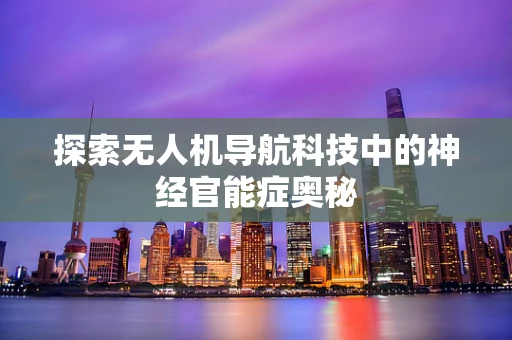 探索无人机导航科技中的神经官能症奥秘