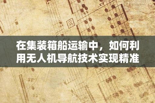 在集装箱船运输中，如何利用无人机导航技术实现精准定位与监控？