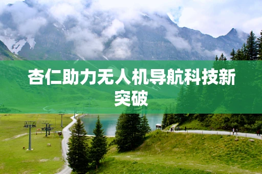 杏仁助力无人机导航科技新突破
