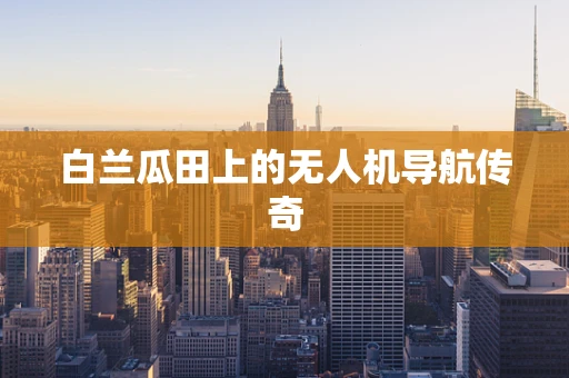 白兰瓜田上的无人机导航传奇