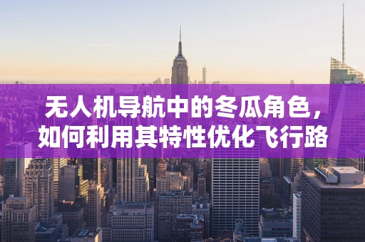 无人机导航中的冬瓜角色，如何利用其特性优化飞行路径？