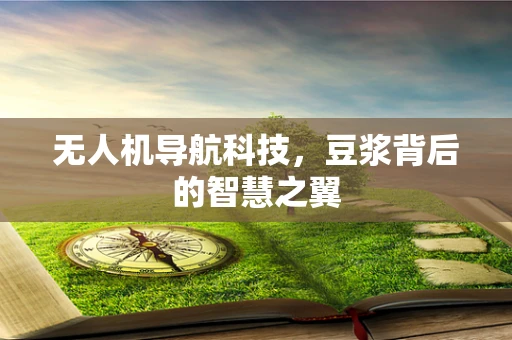 无人机导航科技，豆浆背后的智慧之翼