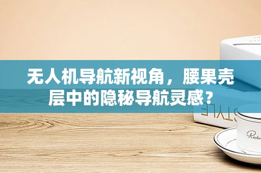 无人机导航新视角，腰果壳层中的隐秘导航灵感？