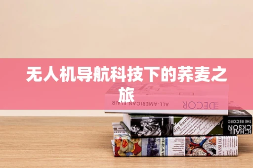 无人机导航科技下的荞麦之旅