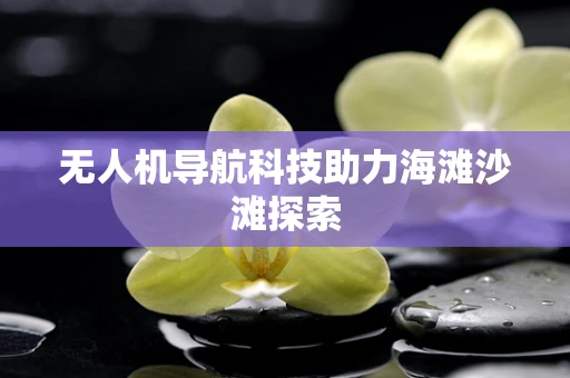无人机导航科技助力海滩沙滩探索