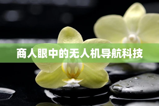 商人眼中的无人机导航科技