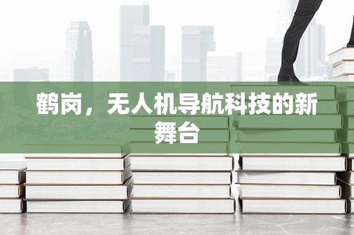 鹤岗，无人机导航科技的新舞台