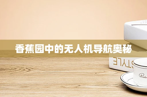 香蕉园中的无人机导航奥秘