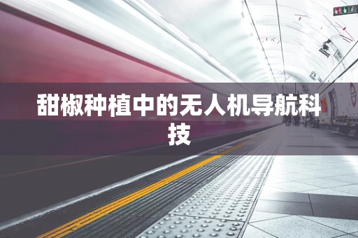 甜椒种植中的无人机导航科技