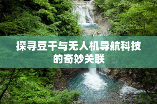 探寻豆干与无人机导航科技的奇妙关联