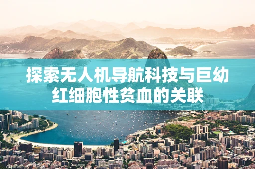 探索无人机导航科技与巨幼红细胞性贫血的关联