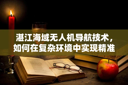 湛江海域无人机导航技术，如何在复杂环境中实现精准定位？