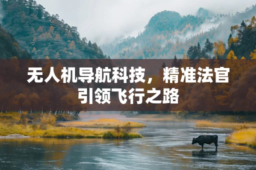 无人机导航科技，精准法官引领飞行之路