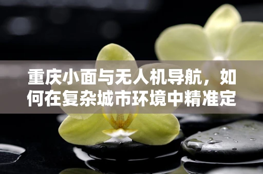 重庆小面与无人机导航，如何在复杂城市环境中精准定位？