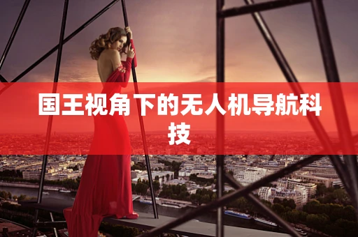 国王视角下的无人机导航科技
