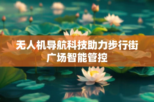 无人机导航科技助力步行街广场智能管控