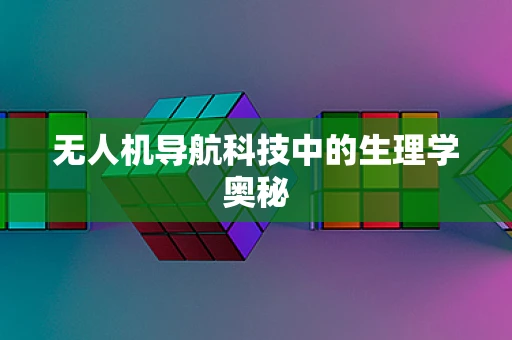 无人机导航科技中的生理学奥秘