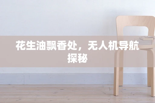 花生油飘香处，无人机导航探秘