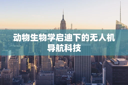 动物生物学启迪下的无人机导航科技