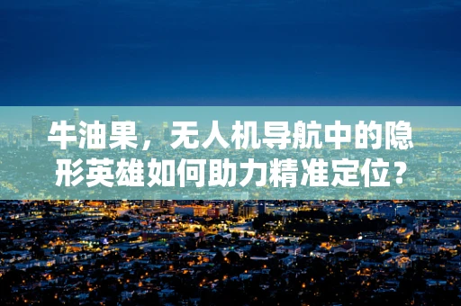 牛油果，无人机导航中的隐形英雄如何助力精准定位？