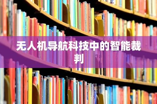 无人机导航科技中的智能裁判