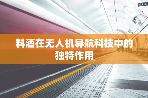料酒在无人机导航科技中的独特作用