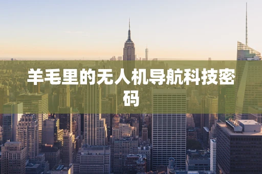 羊毛里的无人机导航科技密码