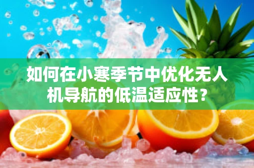 如何在小寒季节中优化无人机导航的低温适应性？