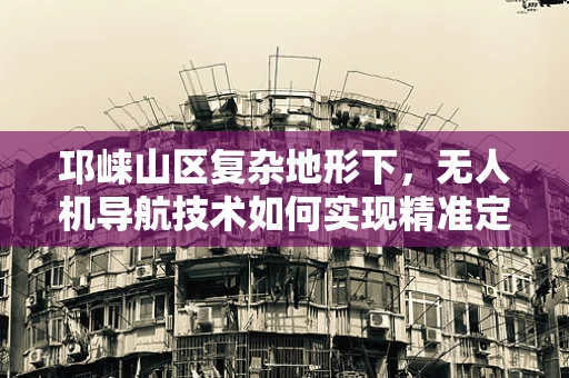 邛崃山区复杂地形下，无人机导航技术如何实现精准定位？