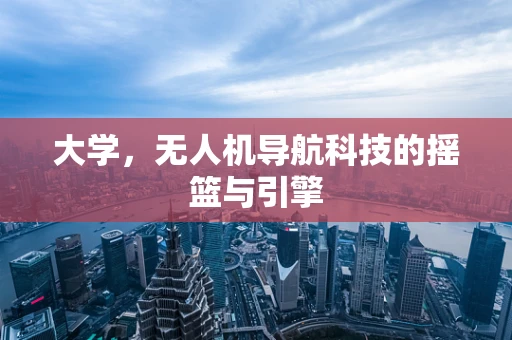 大学，无人机导航科技的摇篮与引擎