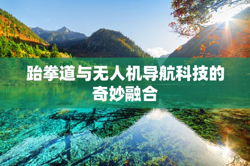 跆拳道与无人机导航科技的奇妙融合