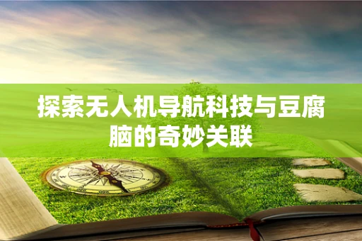 探索无人机导航科技与豆腐脑的奇妙关联