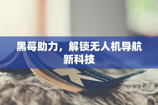 黑莓助力，解锁无人机导航新科技