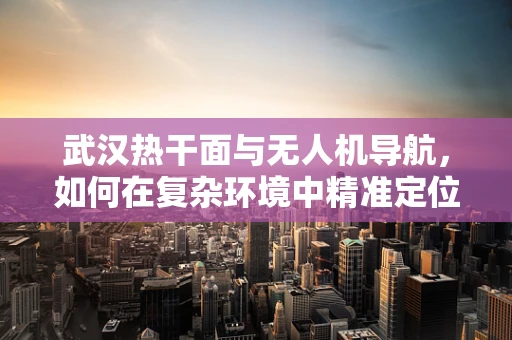 武汉热干面与无人机导航，如何在复杂环境中精准定位？