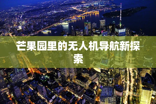 芒果园里的无人机导航新探索