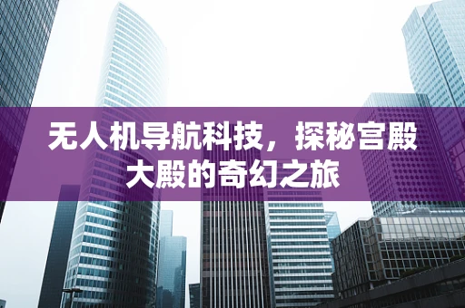 无人机导航科技，探秘宫殿大殿的奇幻之旅