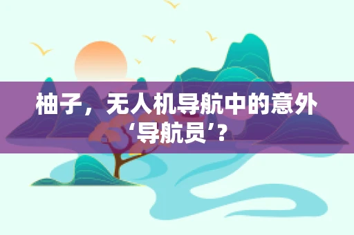 柚子，无人机导航中的意外‘导航员’？