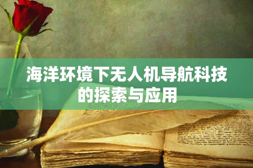 海洋环境下无人机导航科技的探索与应用