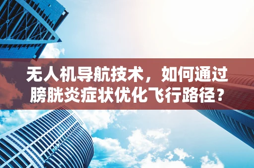 无人机导航技术，如何通过膀胱炎症状优化飞行路径？